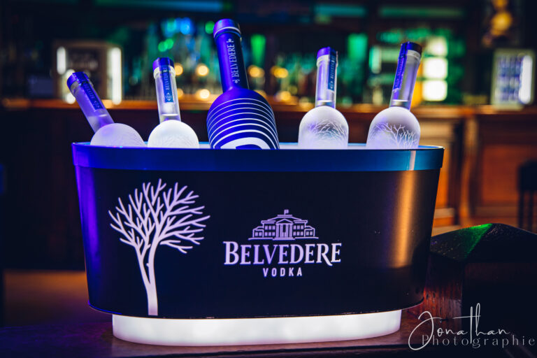 Photo de bouteilles de Belvedere Vodka dans un bac à glaçons
